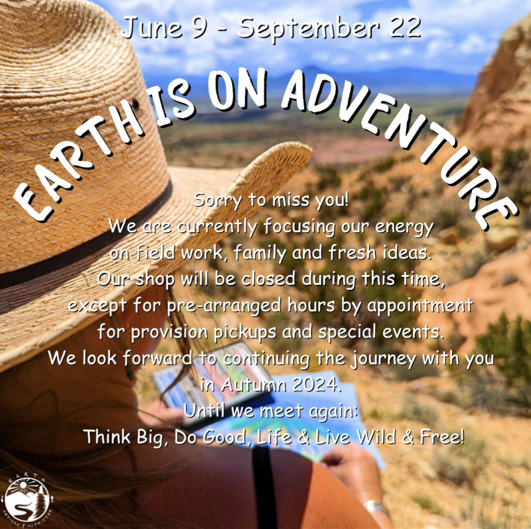 Earth is On Adventure